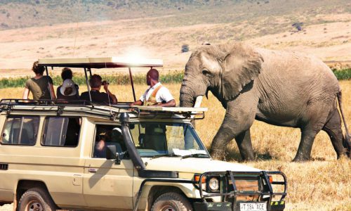 Short-safari-car